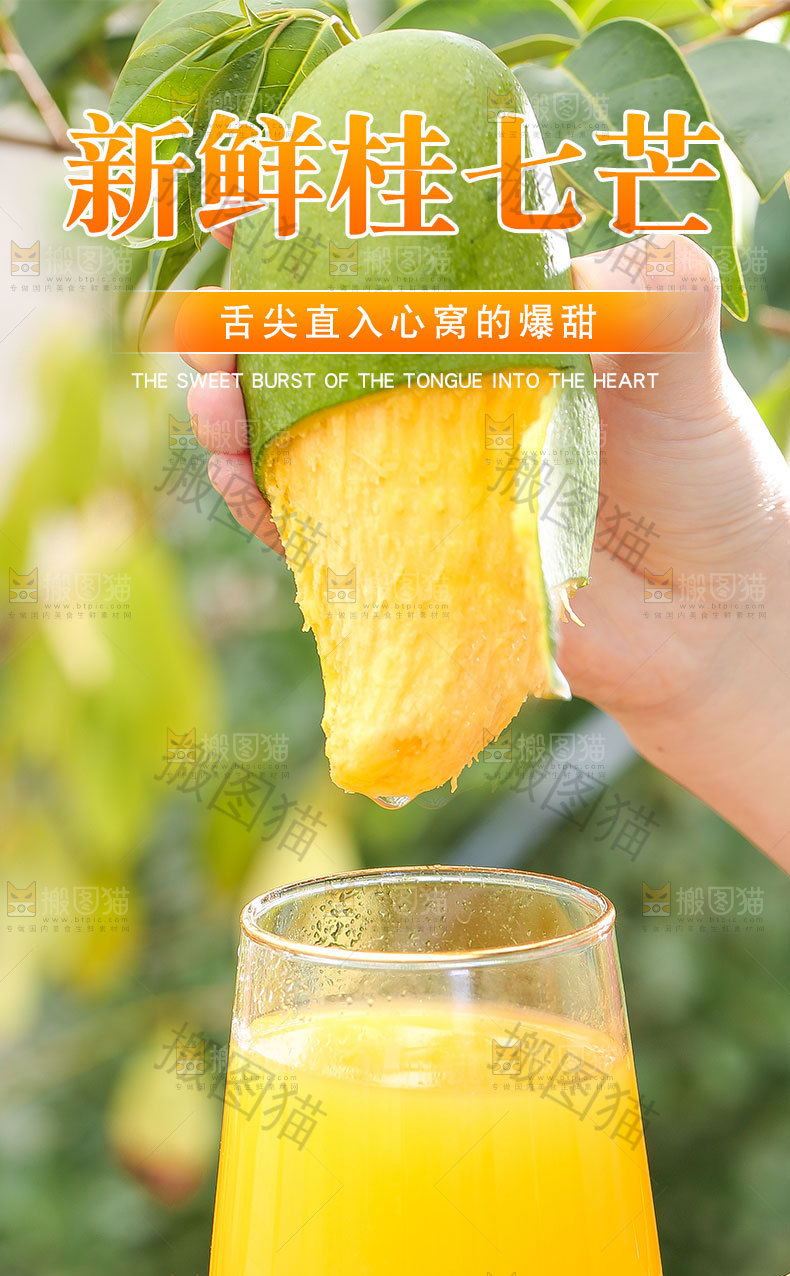 新鲜桂七芒详情页