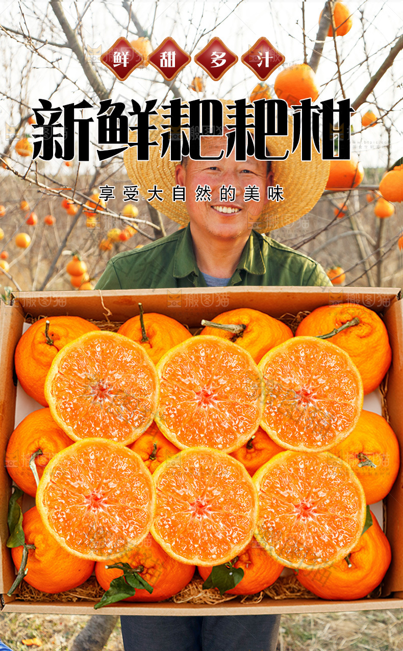 耙耙柑详情页