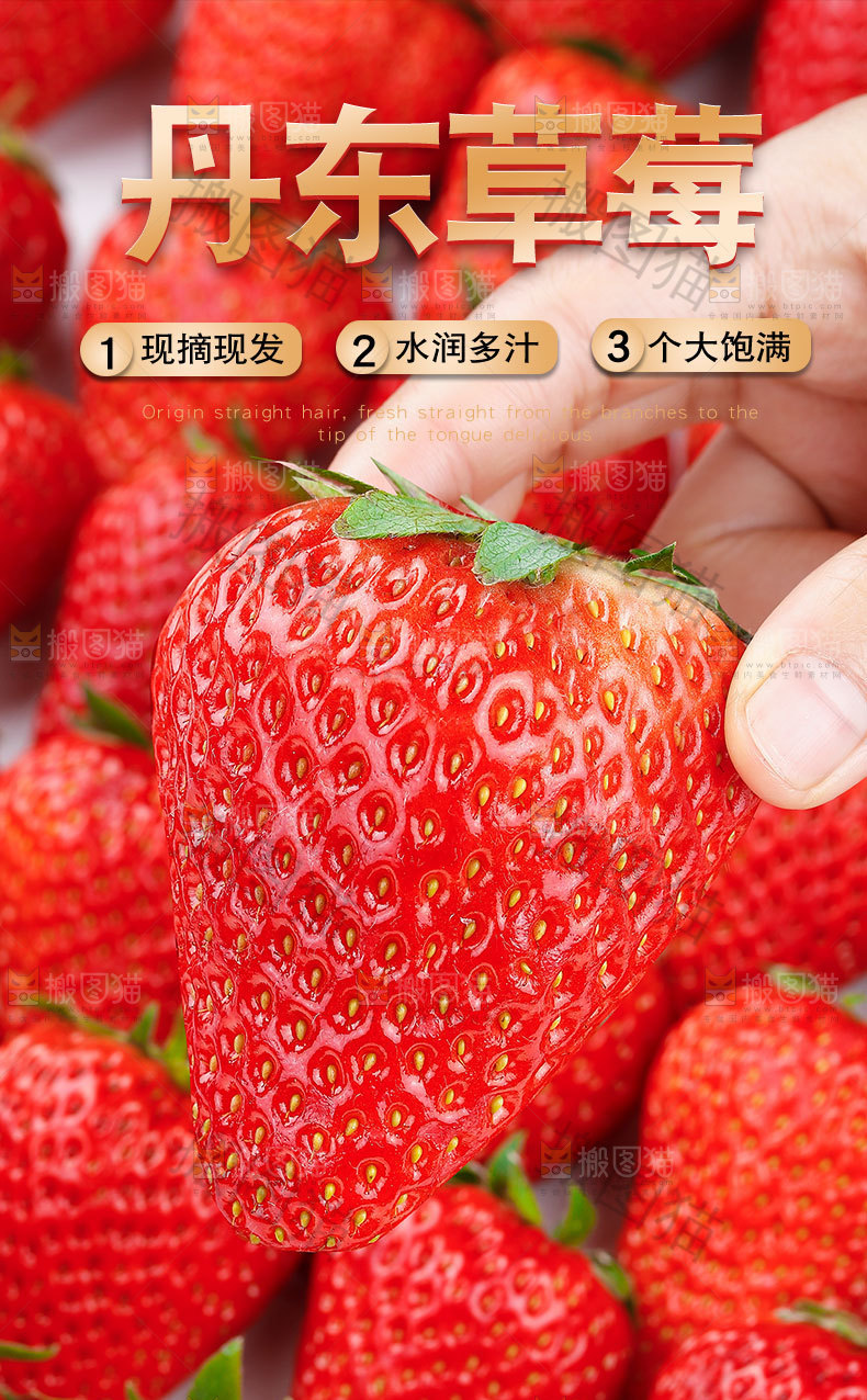 丹东草莓详情页