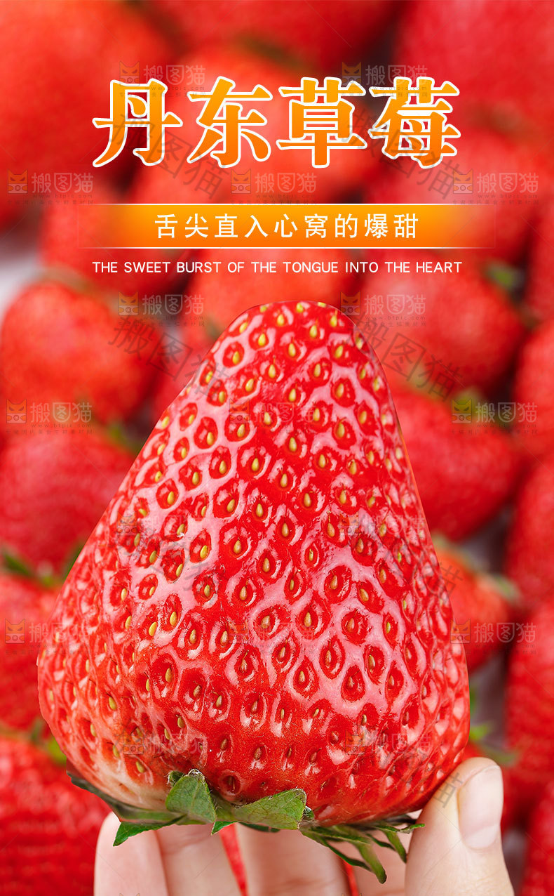 丹东草莓详情页