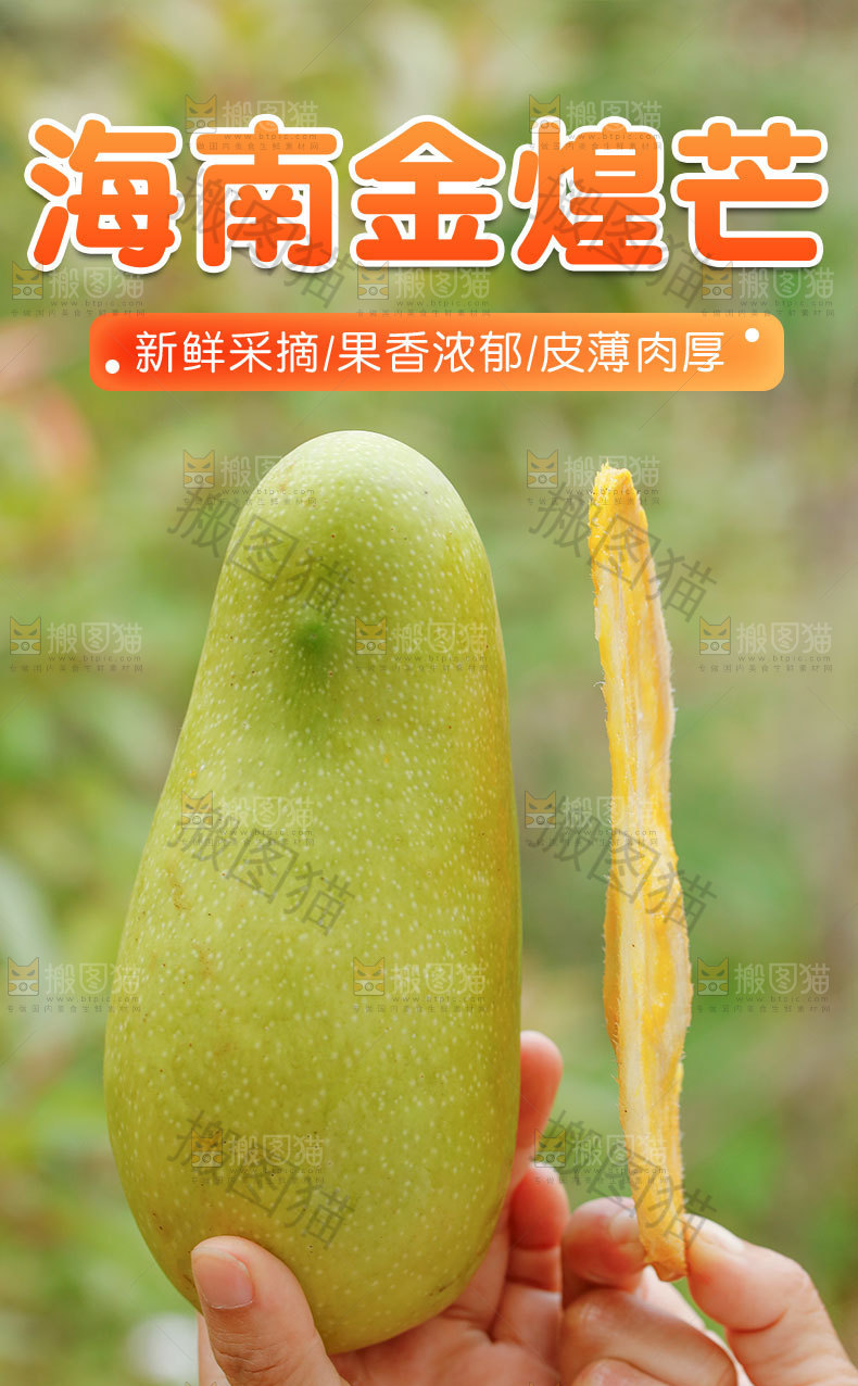 海南金煌芒详情页