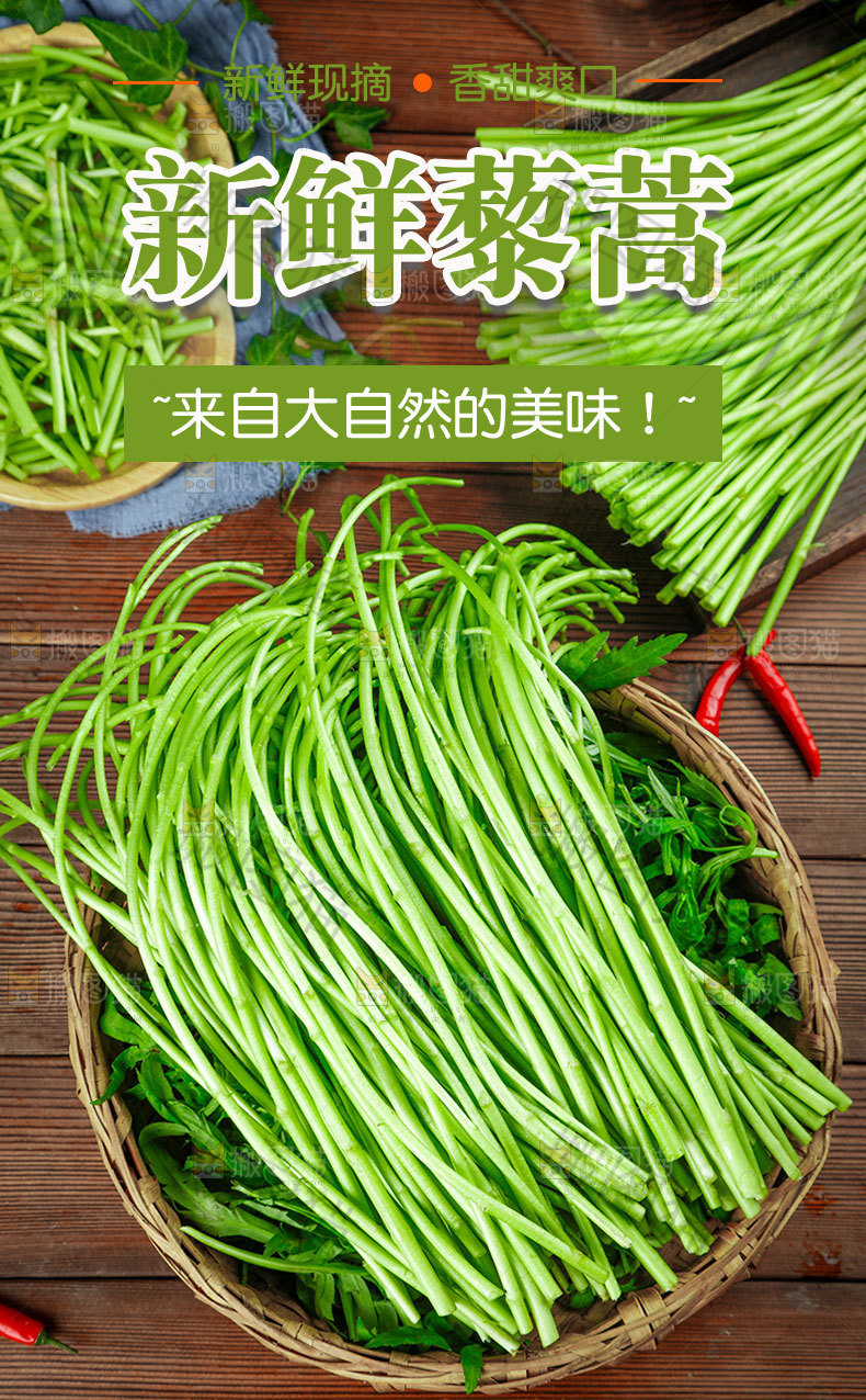 新鲜藜蒿详情页设计