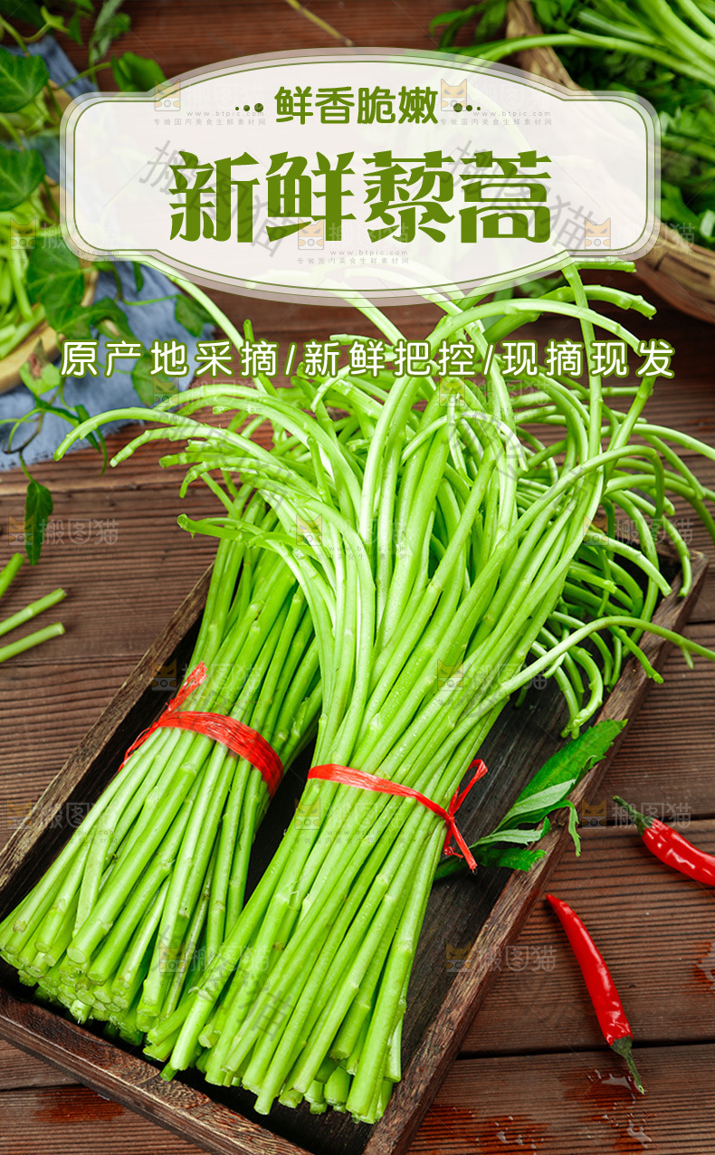 藜蒿详情页设计