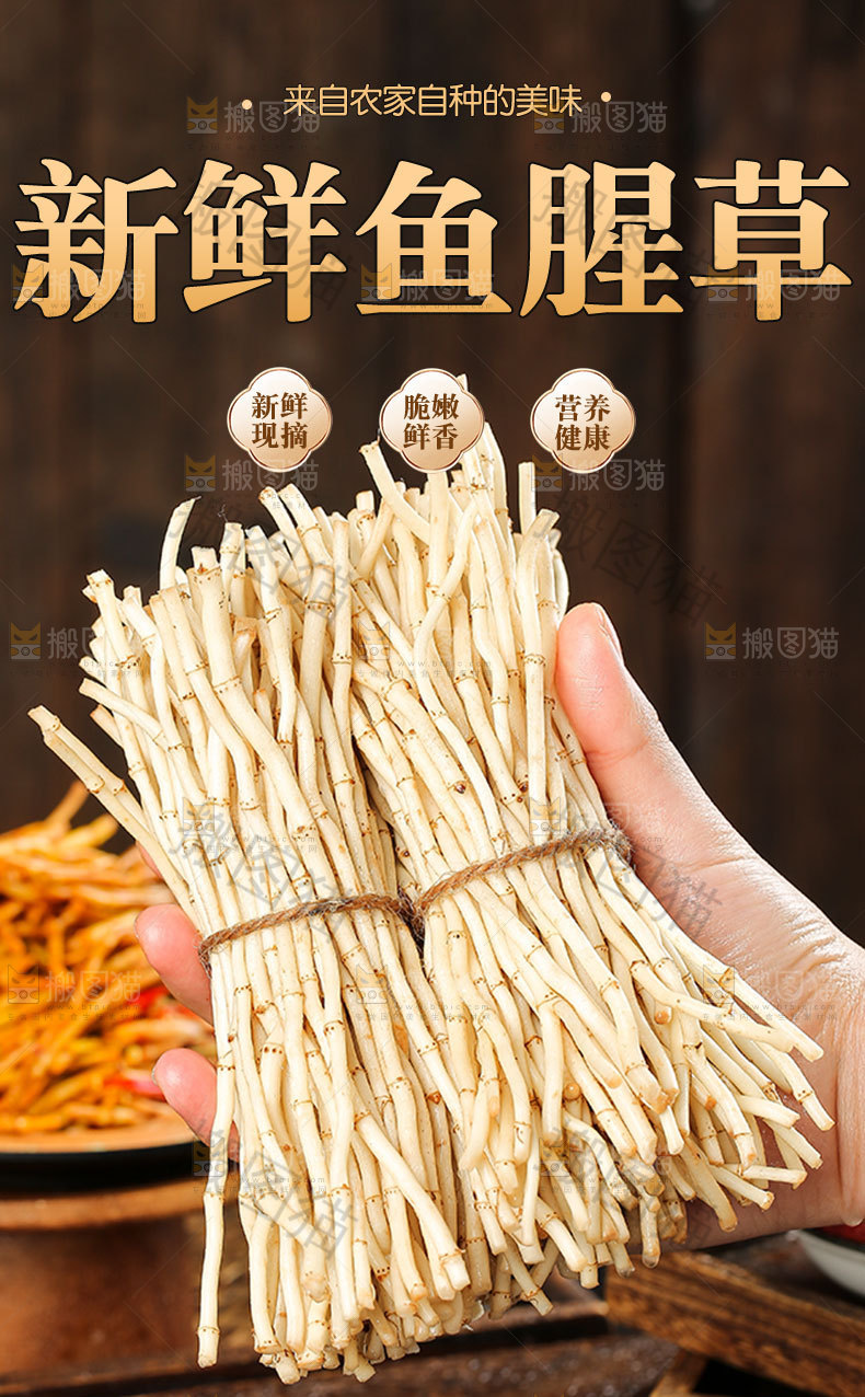 折耳根详情页