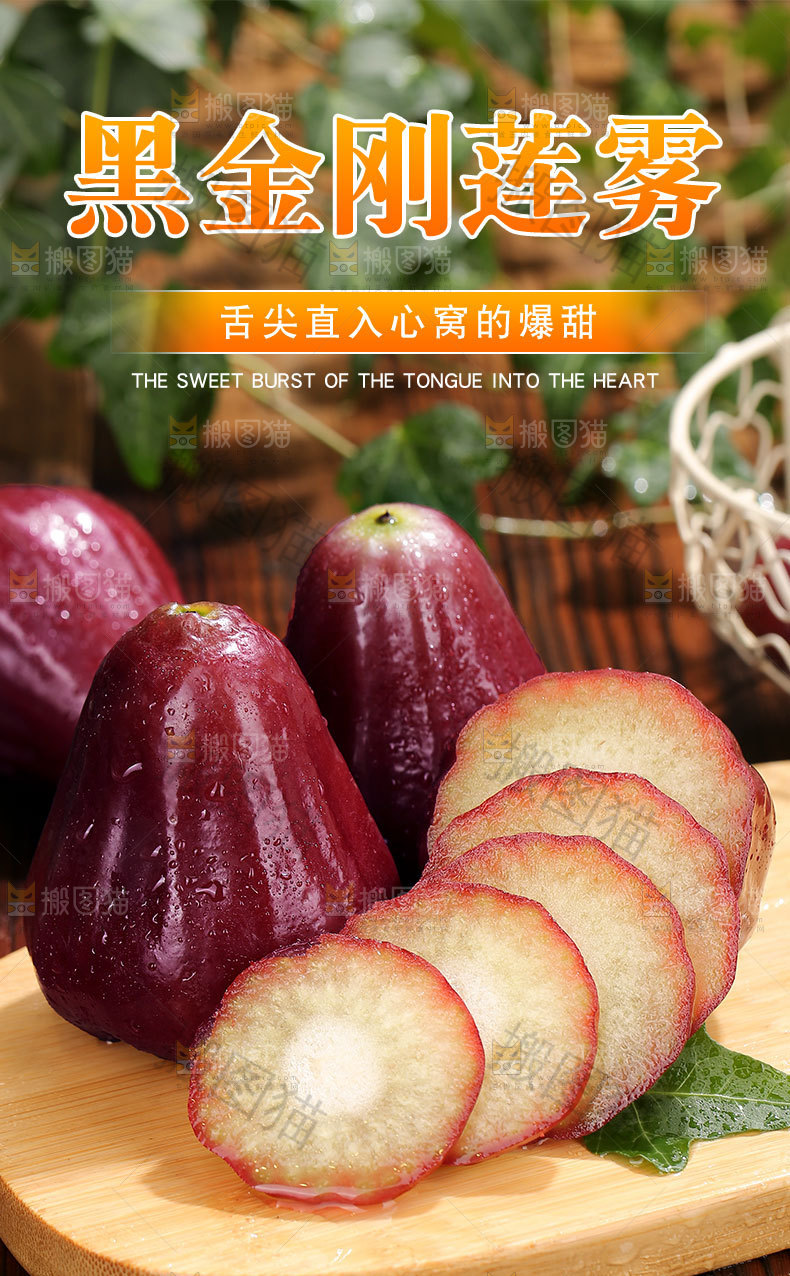 黑金刚莲雾详情页