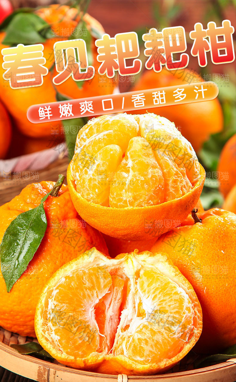 春见耙耙柑详情页