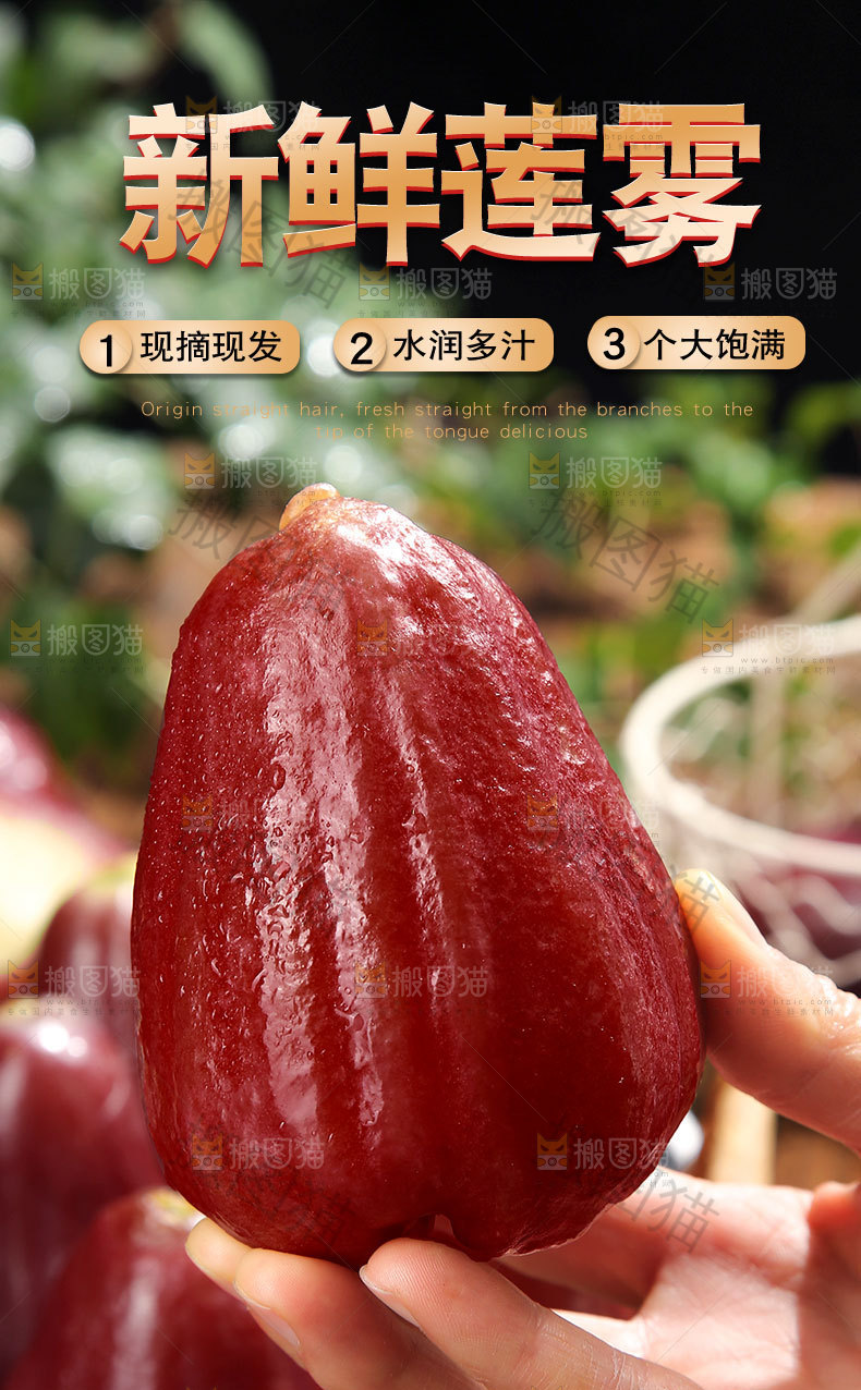 新鲜莲雾详情页