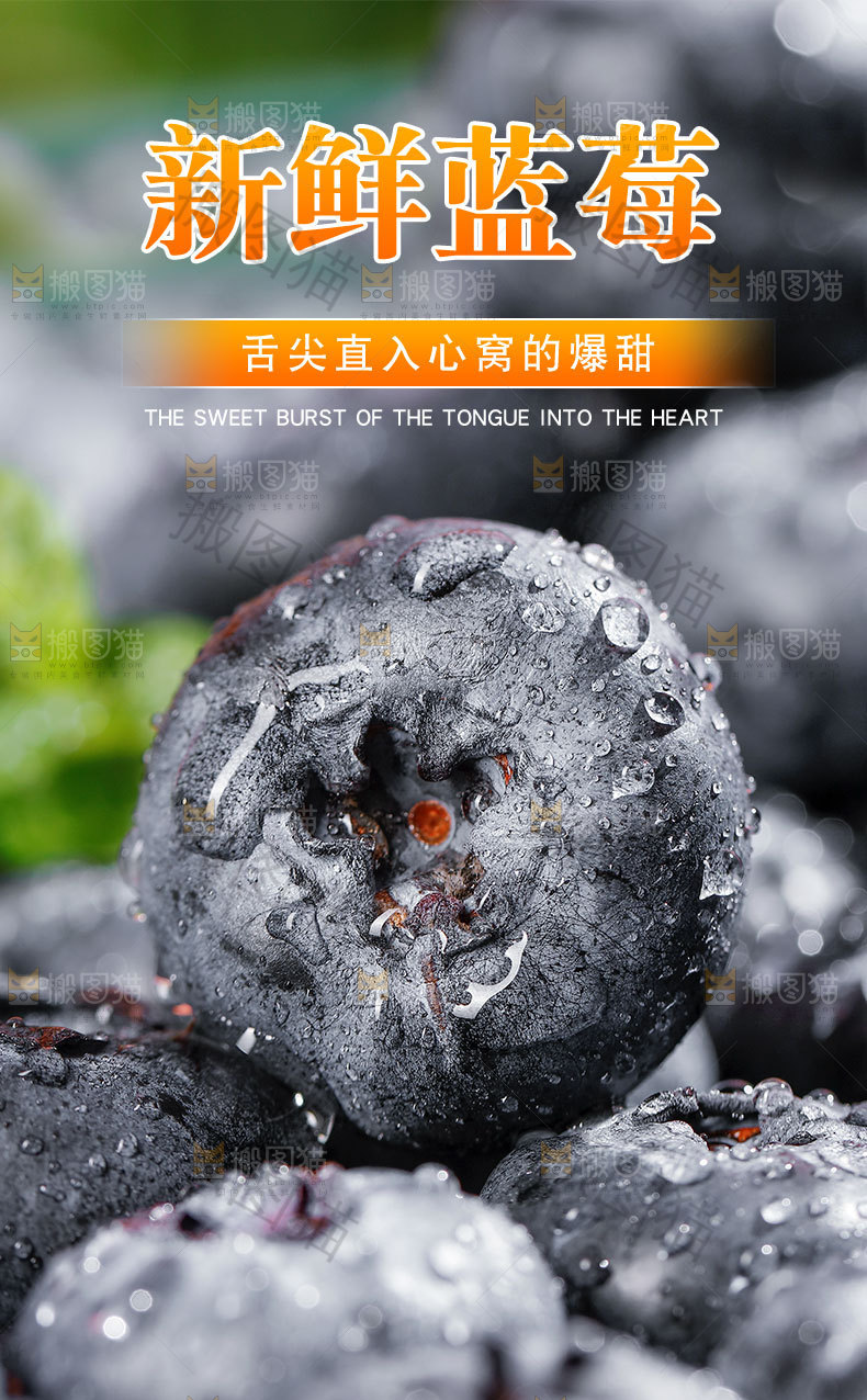 云南蓝莓详情页