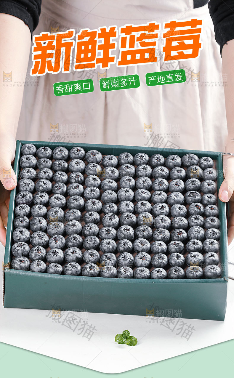 新鲜蓝莓详情页