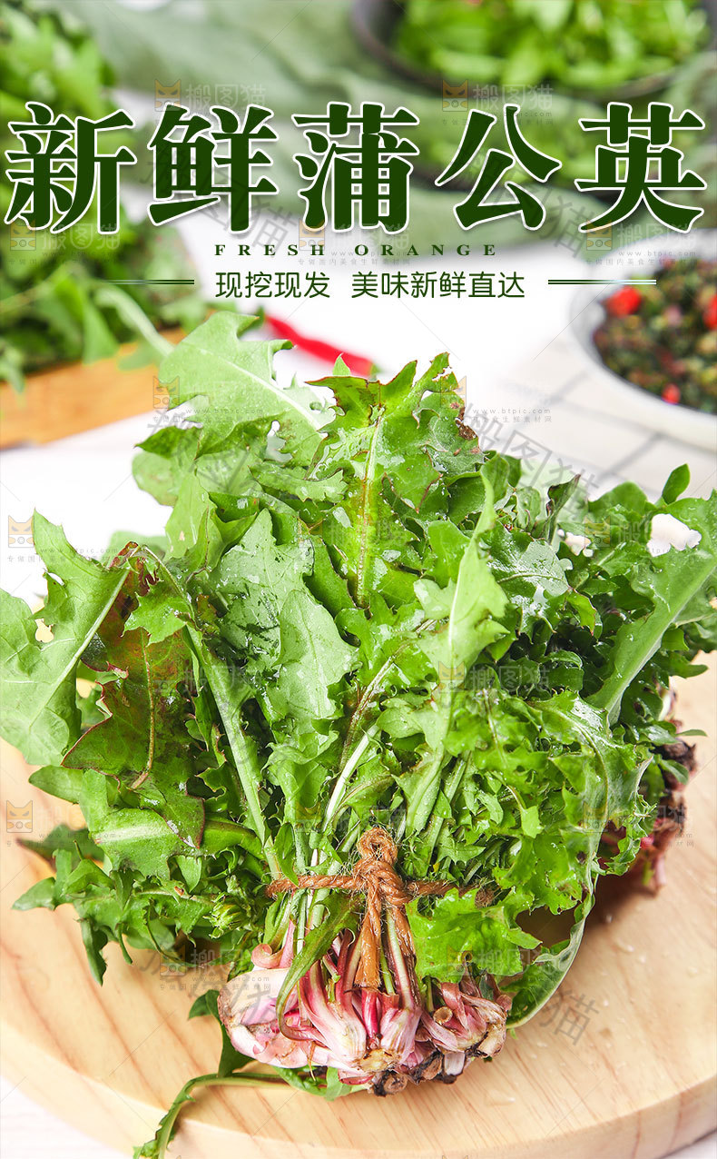 新鲜蒲公英详情页