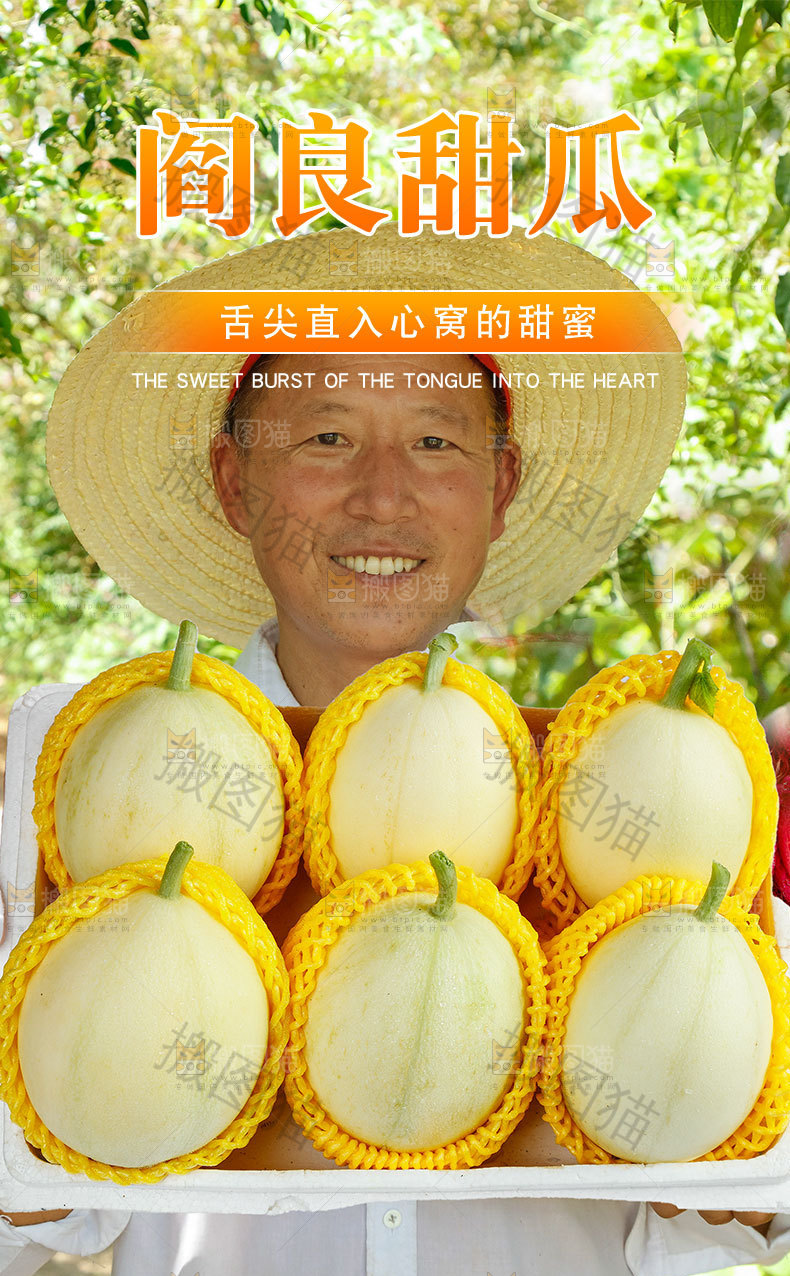 阎良蜜瓜详情页