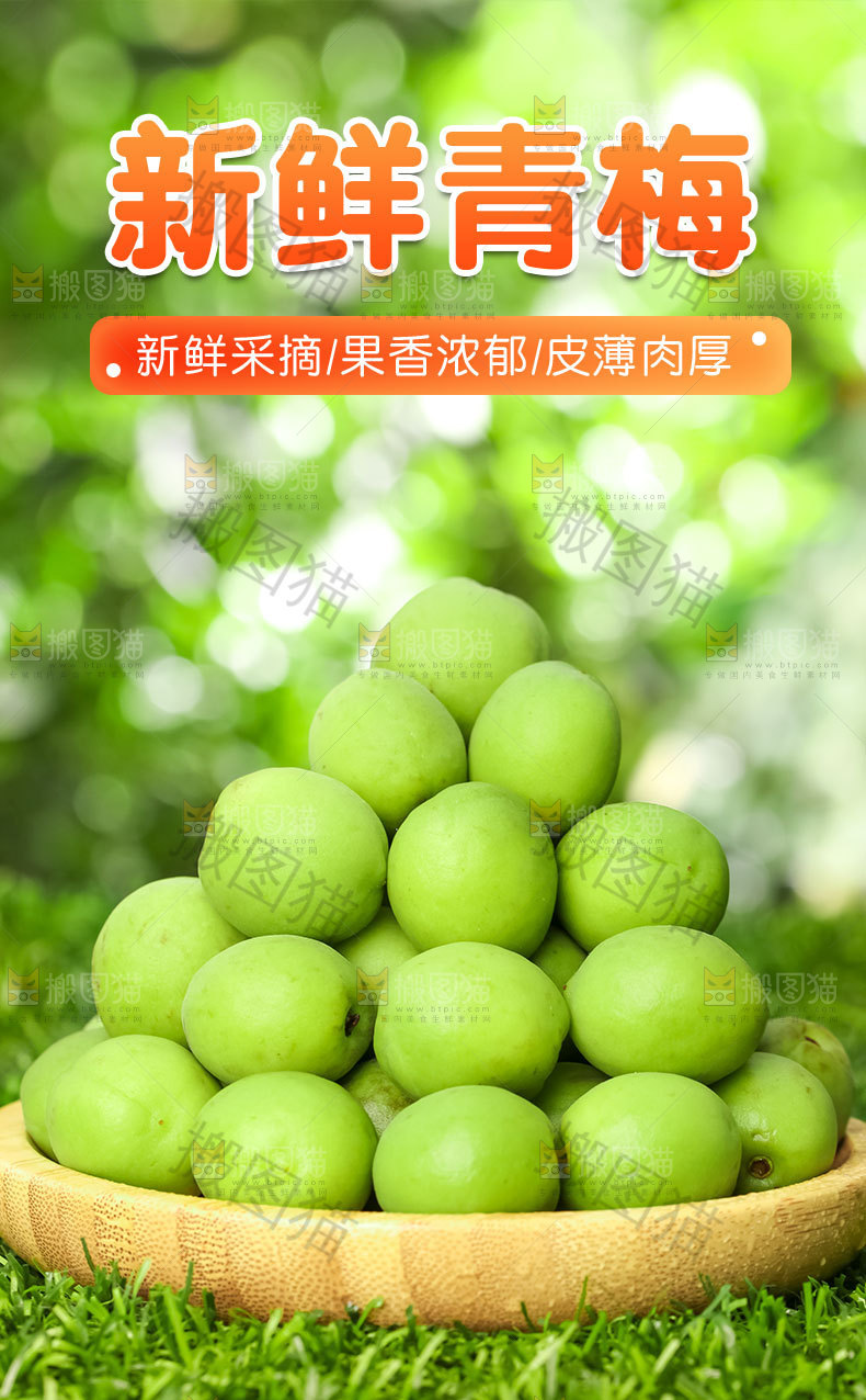 青梅详情页