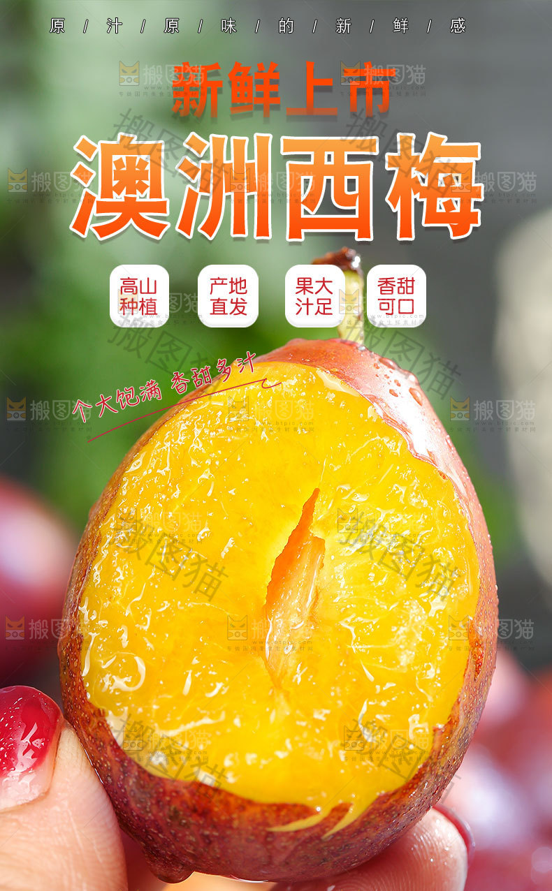 澳洲西梅详情页