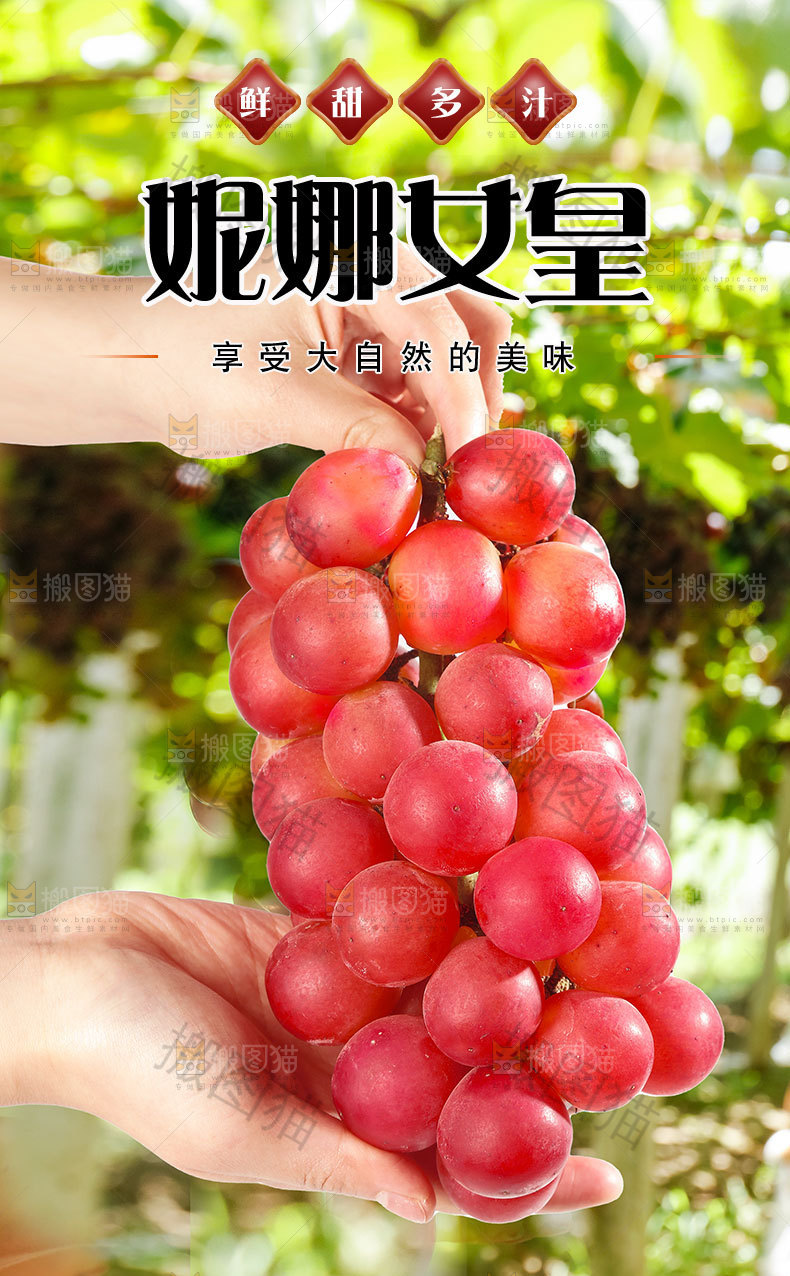 妮娜皇后葡萄详情页