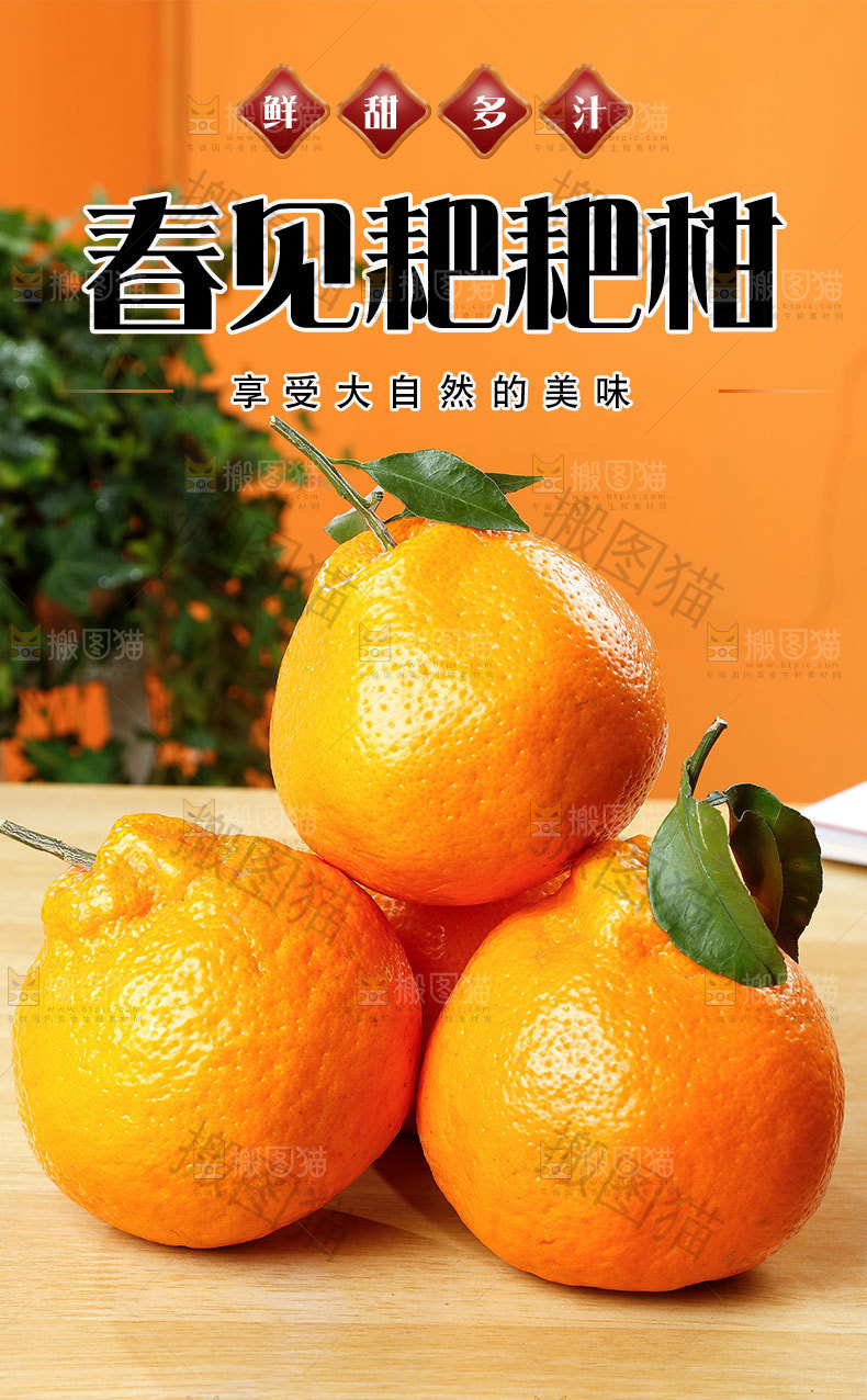 耙耙柑详情页