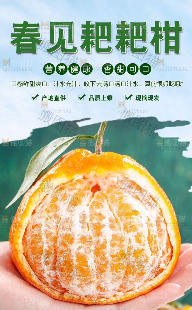 耙耙柑详情页