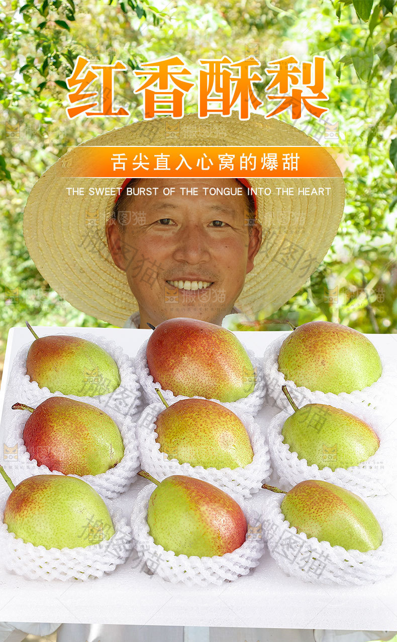 红酥梨详情页