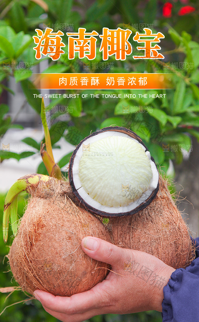椰宝详情页设计