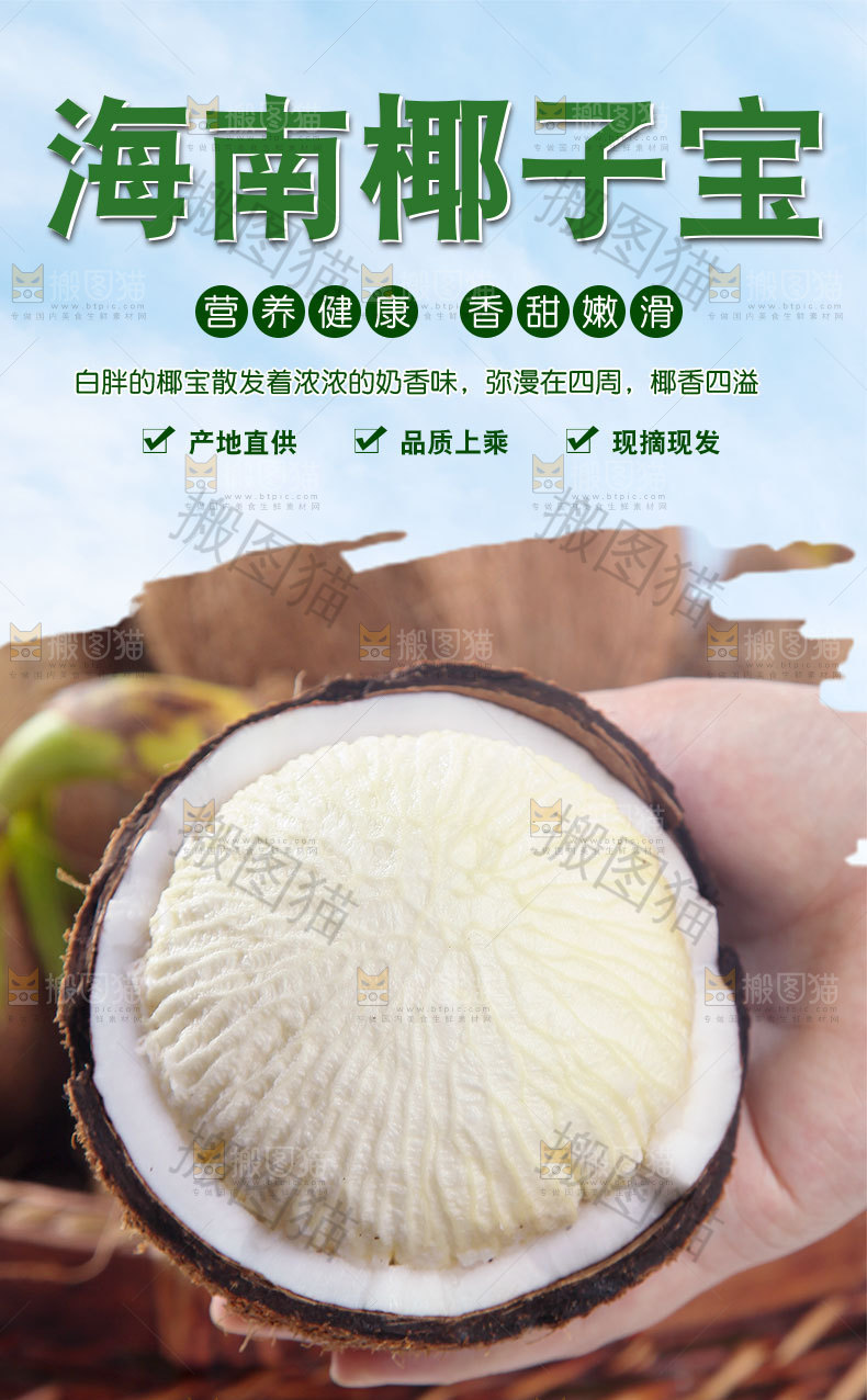椰子宝详情页
