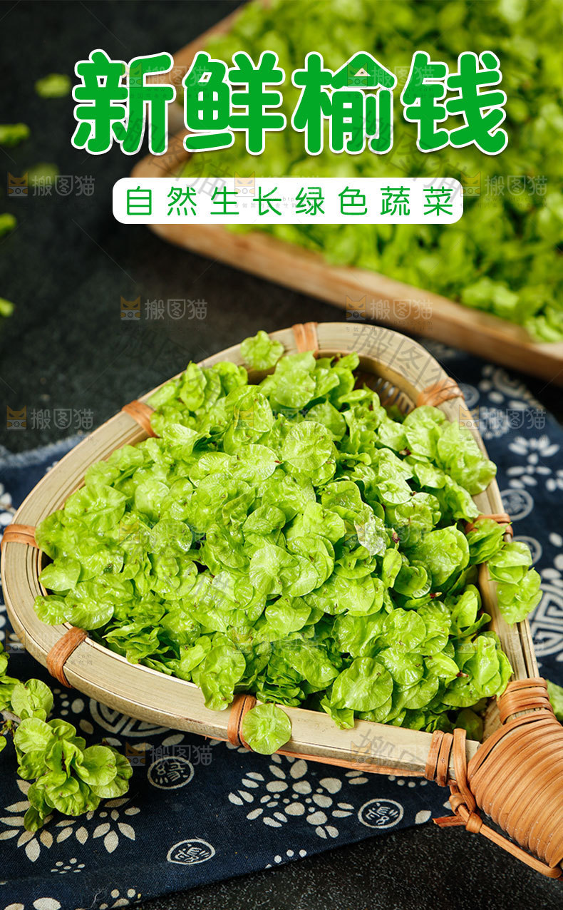新鲜榆钱详情页