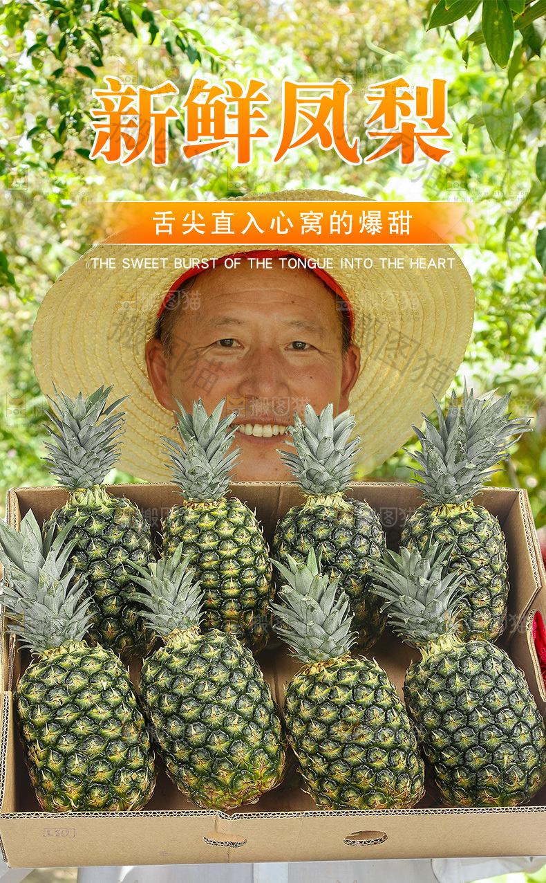 新鲜凤梨详情页