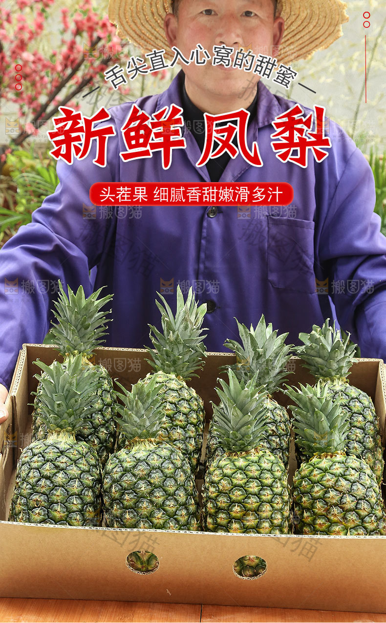 新鲜凤梨详情页
