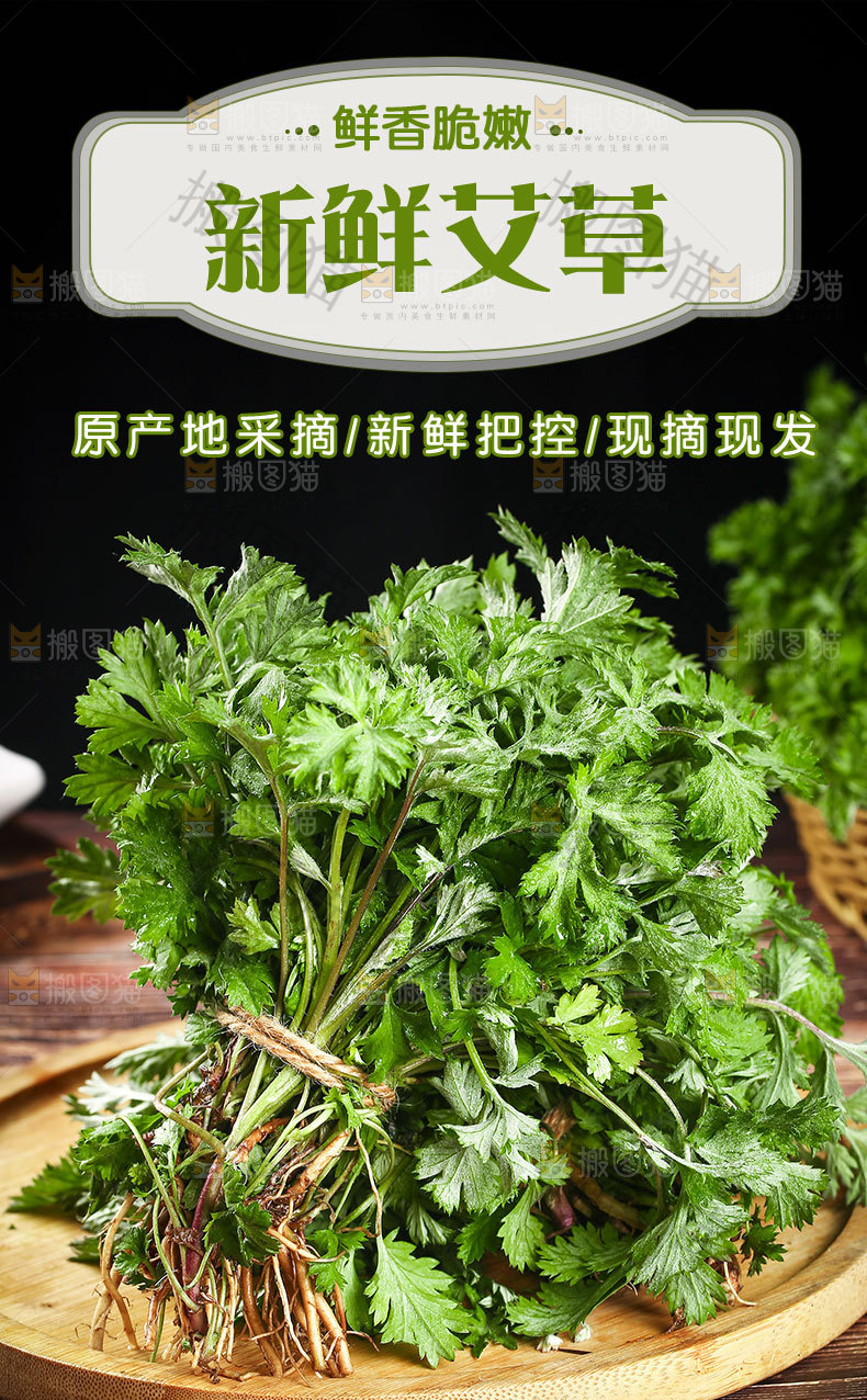 新鲜艾叶详情页