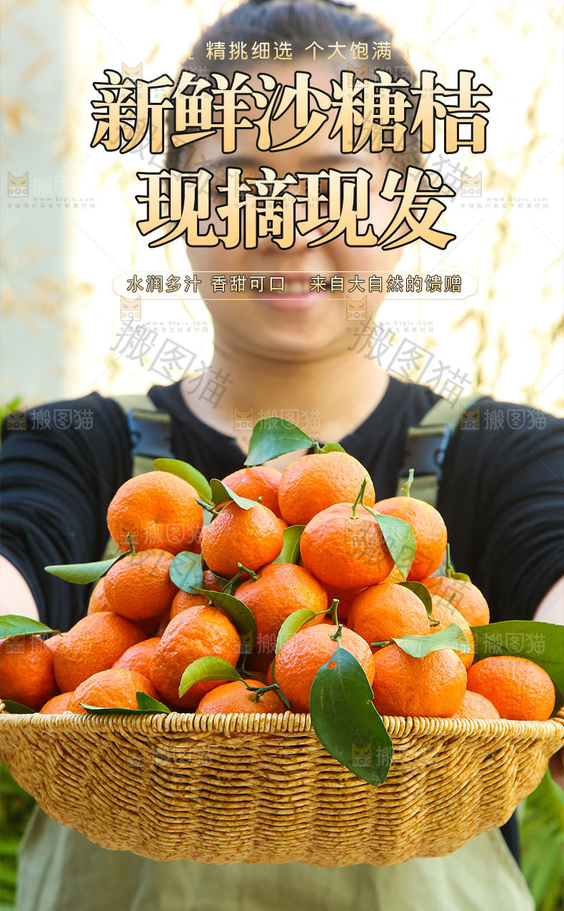 新鲜沙糖桔详情页