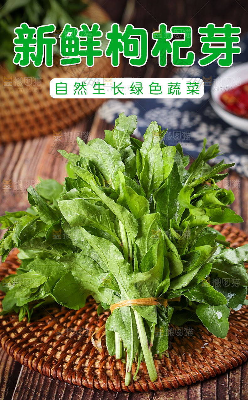 新鲜枸杞芽详情页