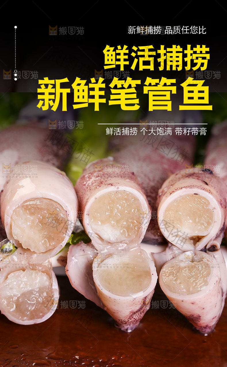 新鲜笔管鱼详情页