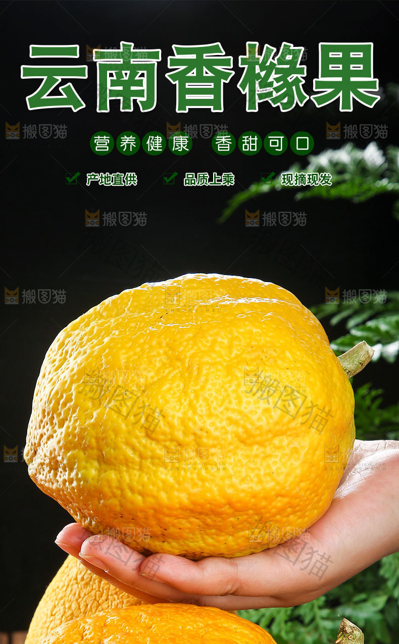 云南香橼果详情页