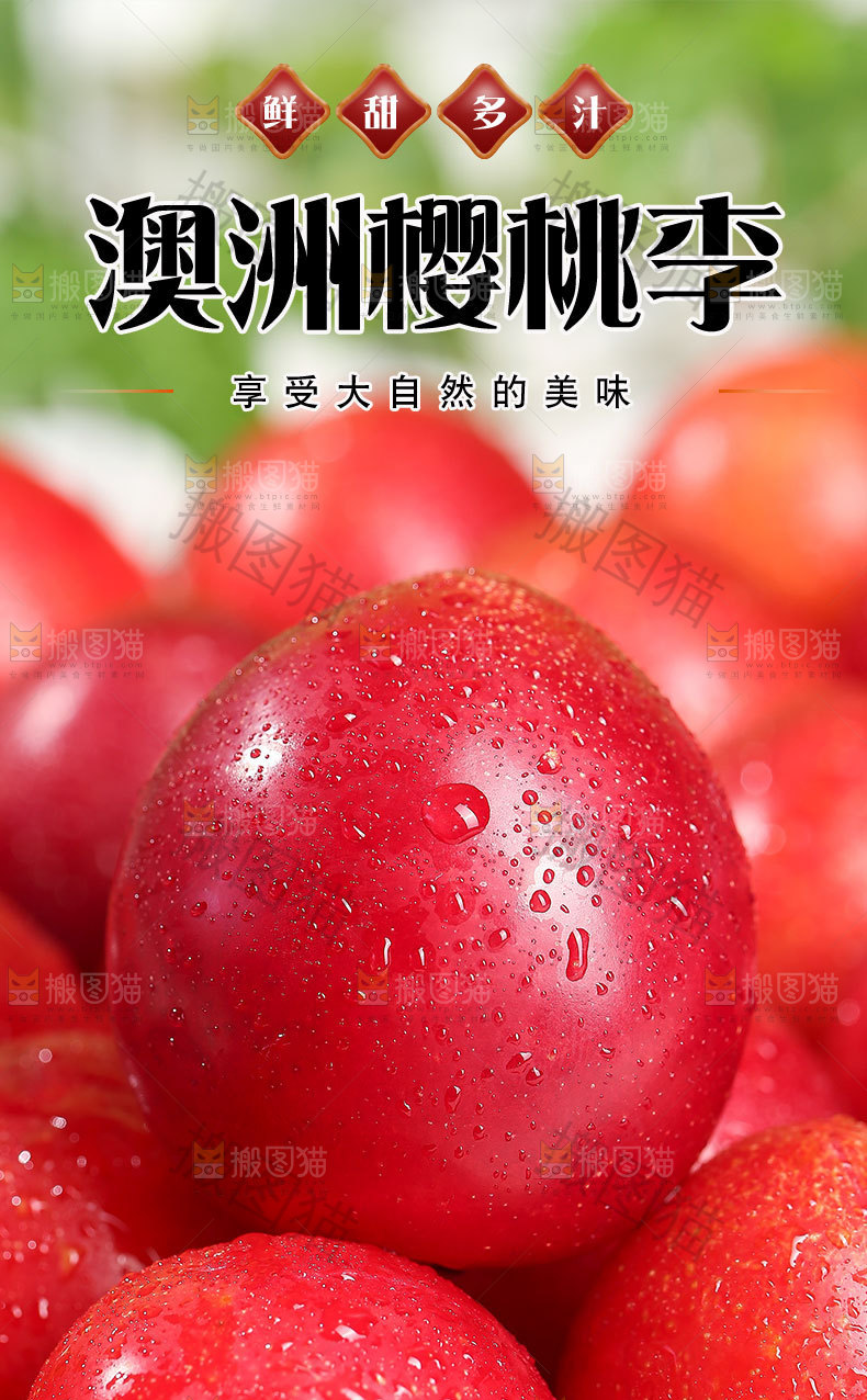 澳洲樱桃李详情页