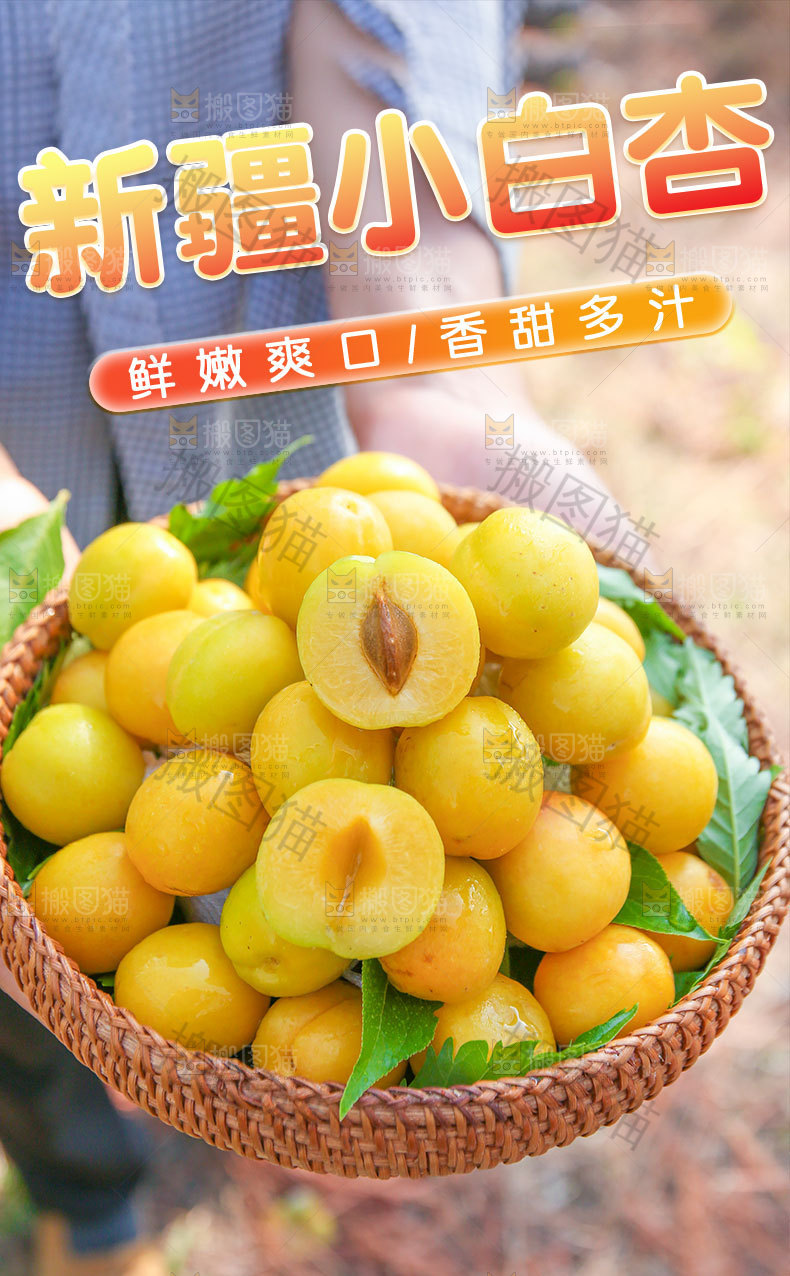 新疆小白杏详情页