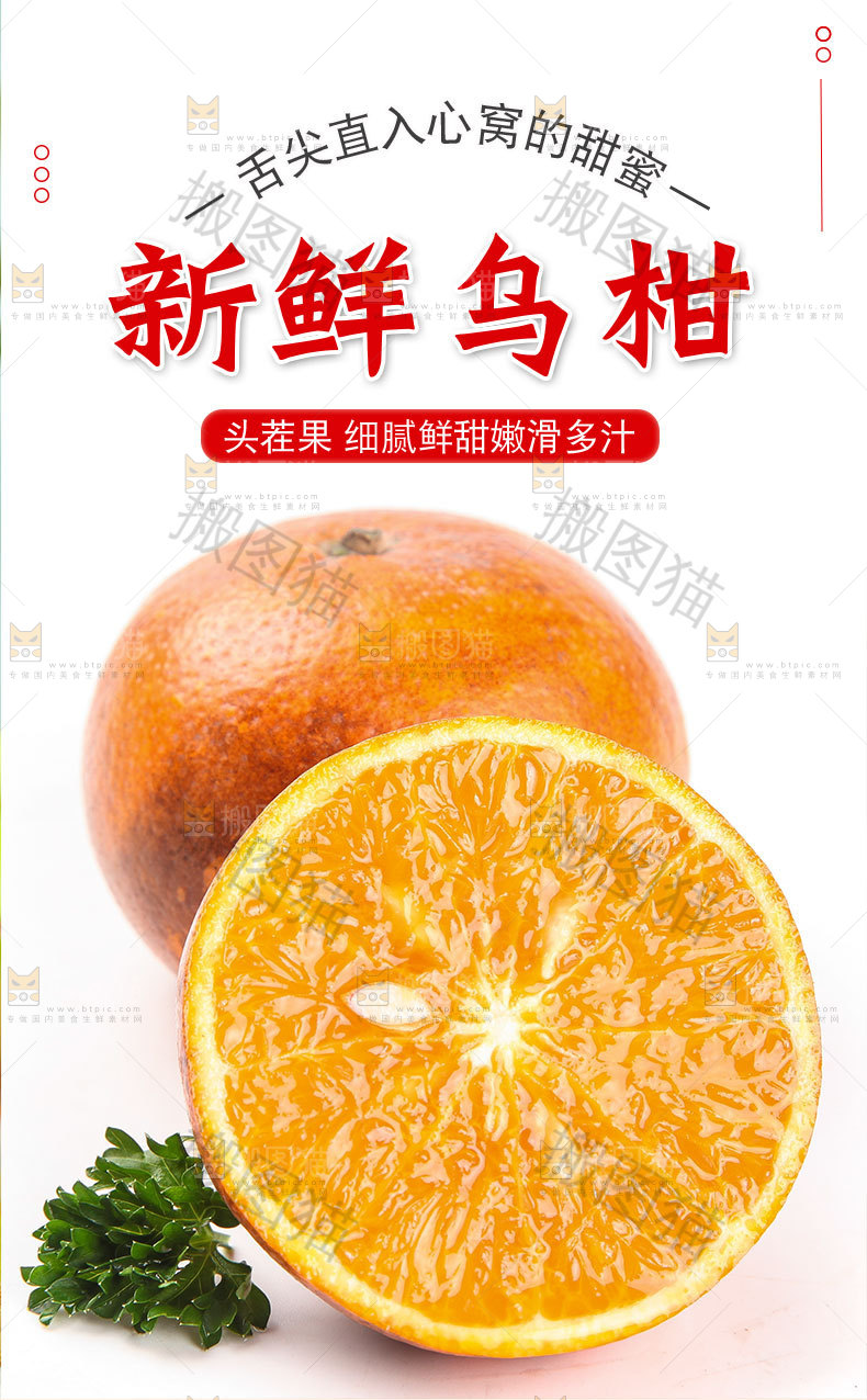 新鲜乌柑详情页