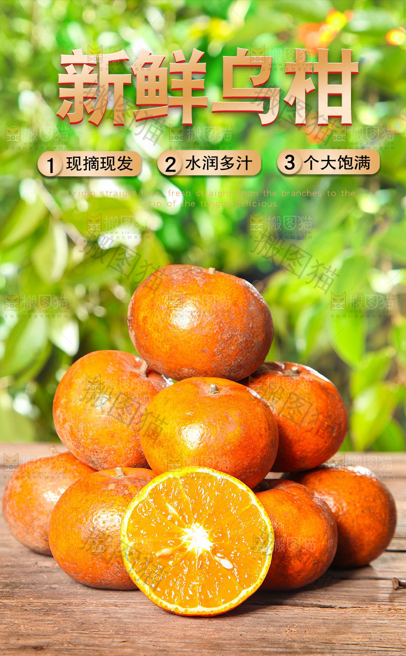 新鲜乌柑详情页