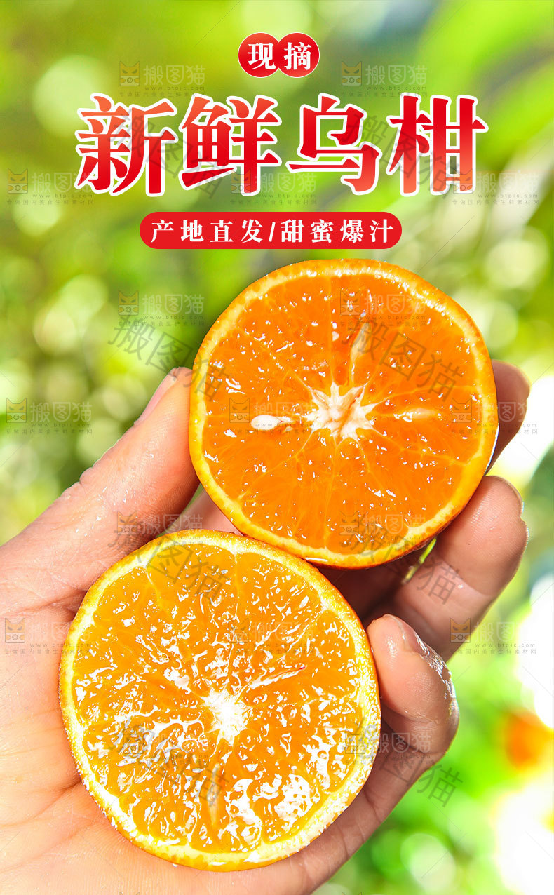 新鲜乌柑详情页
