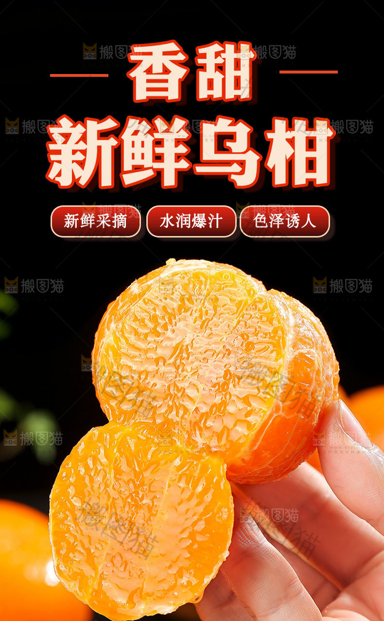 新鲜乌柑详情页