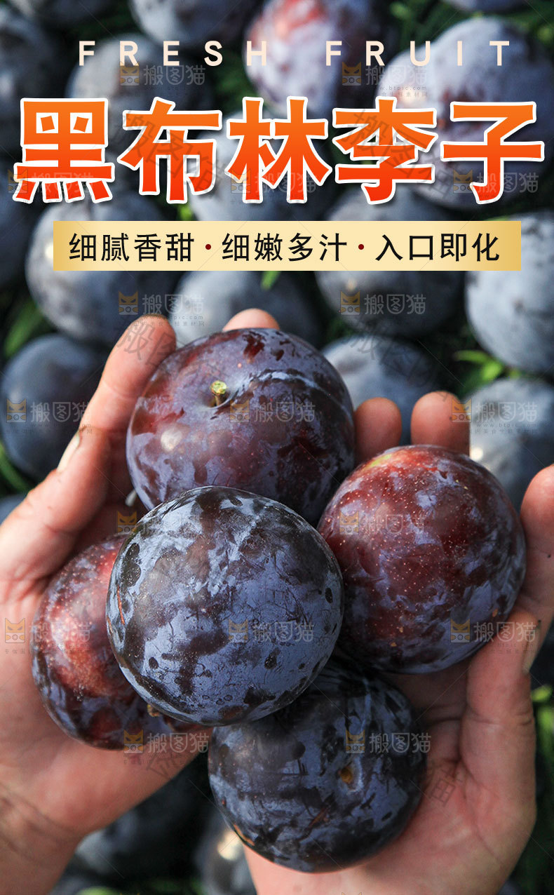 黑布林李子详情页