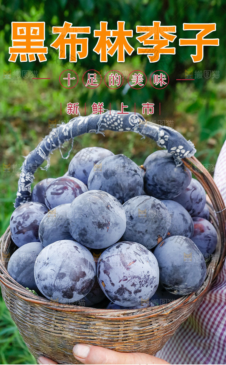 黑布林李子详情页
