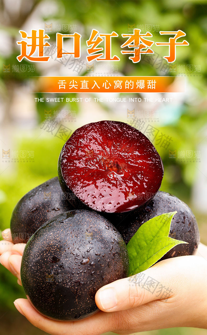 恐龙蛋李子详情页