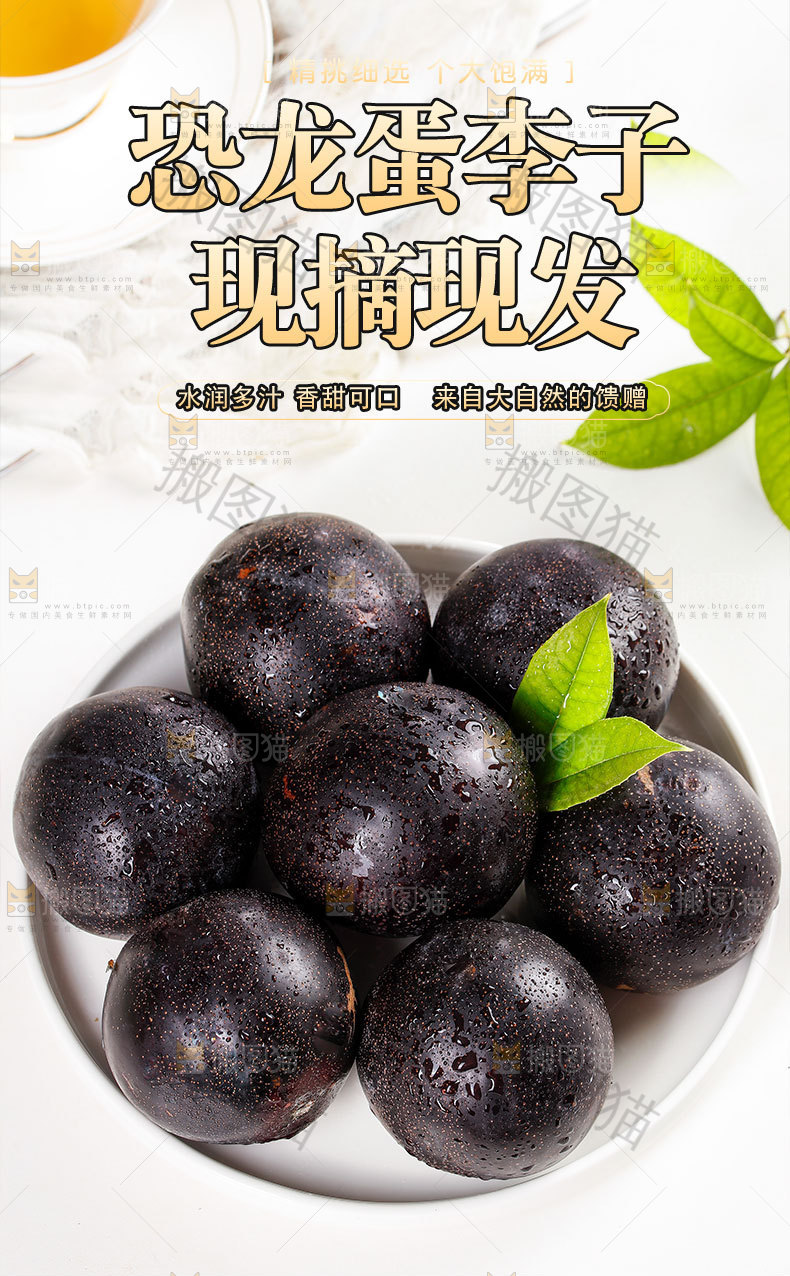 恐龙蛋李子详情页