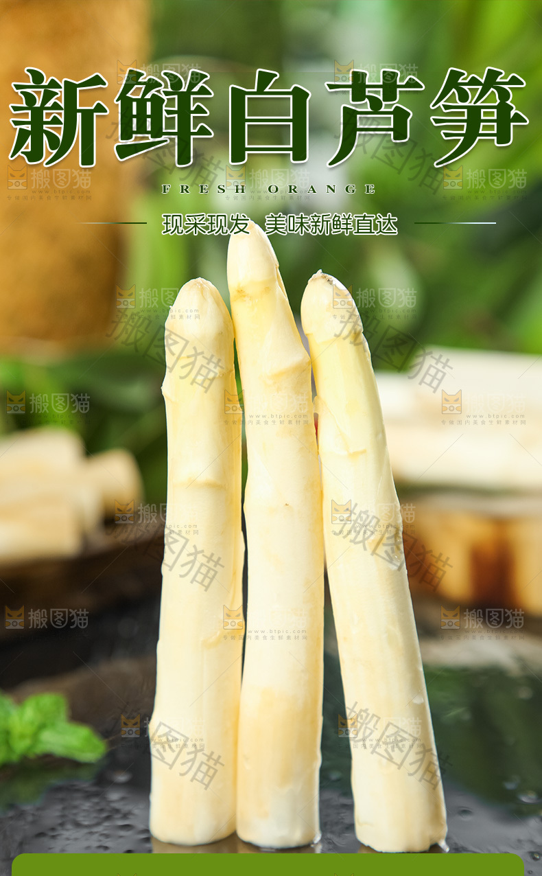 新鲜白芦笋详情页