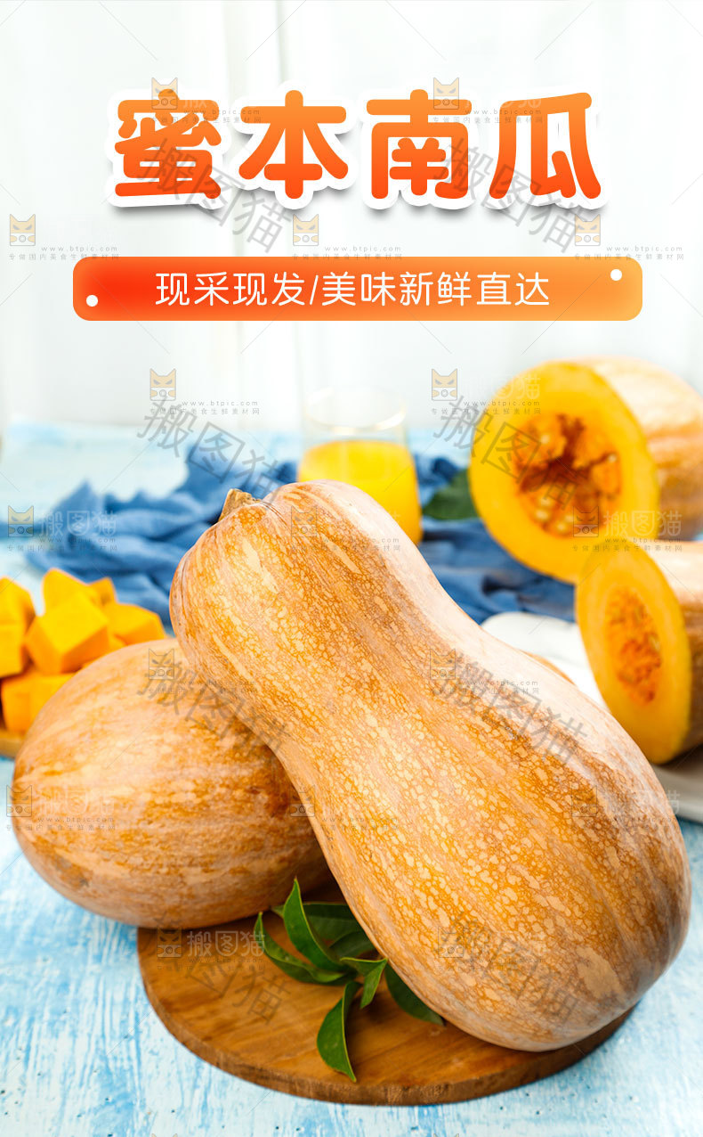 蜜本南瓜详情页