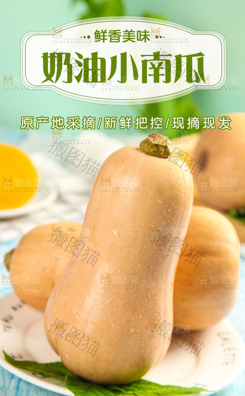 奶油小南瓜详情页