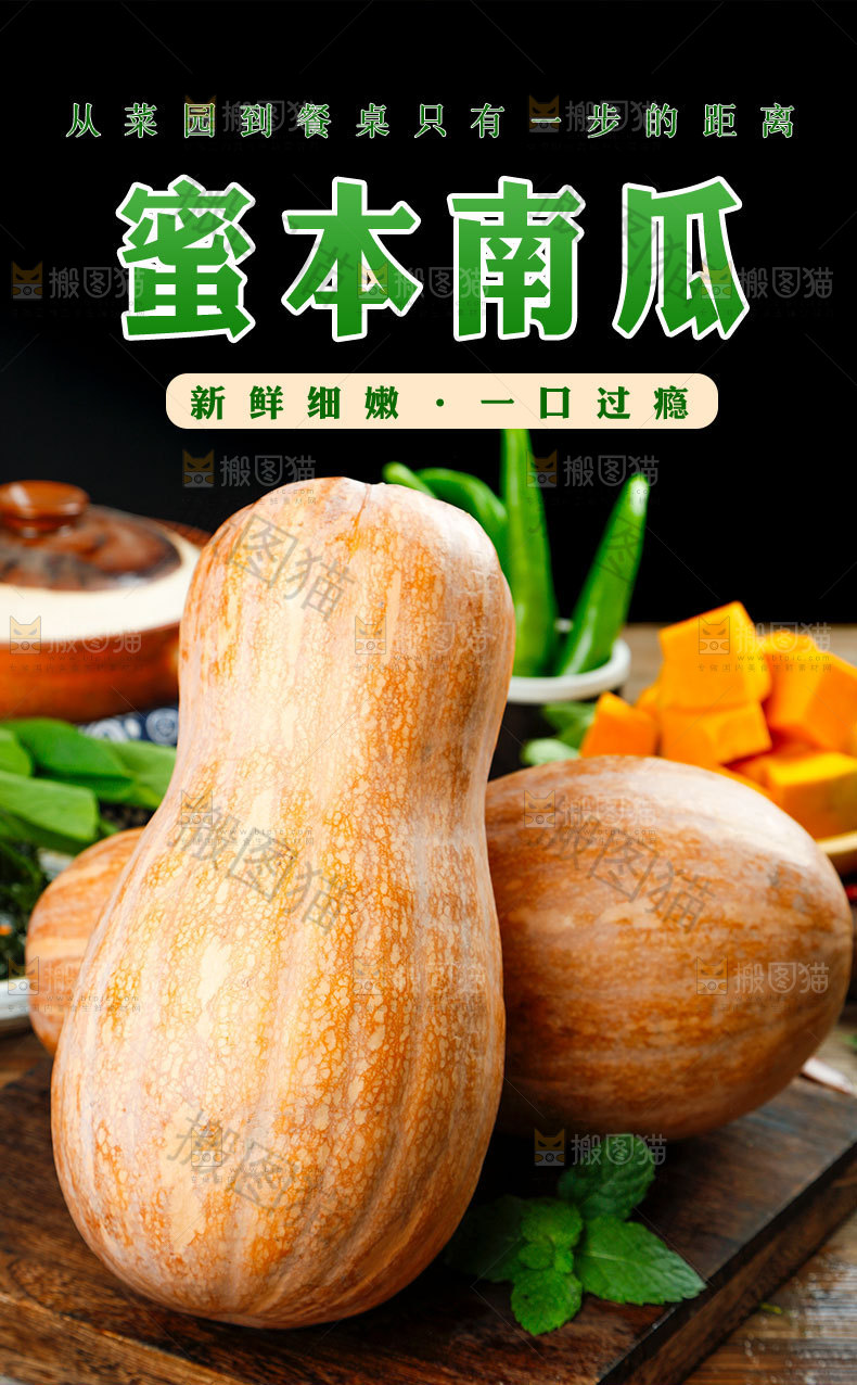 蜜本南瓜详情页