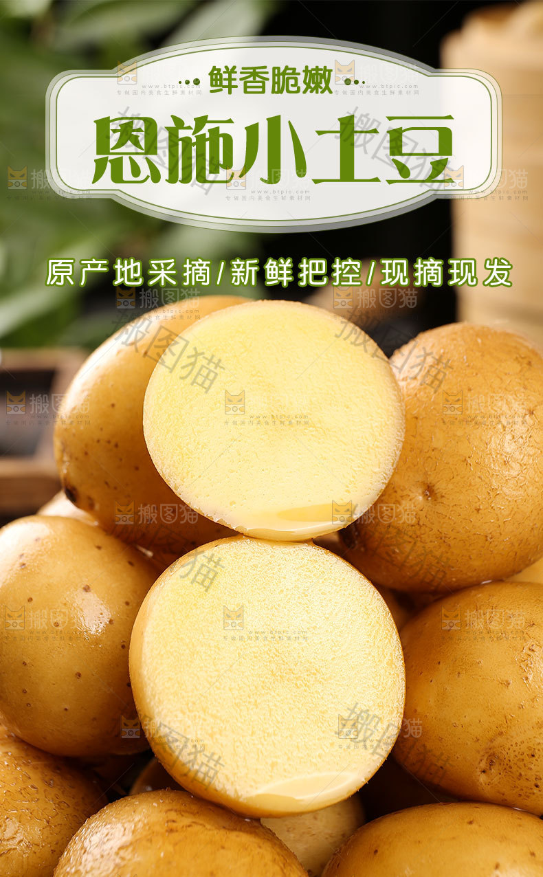 恩施小土豆详情页