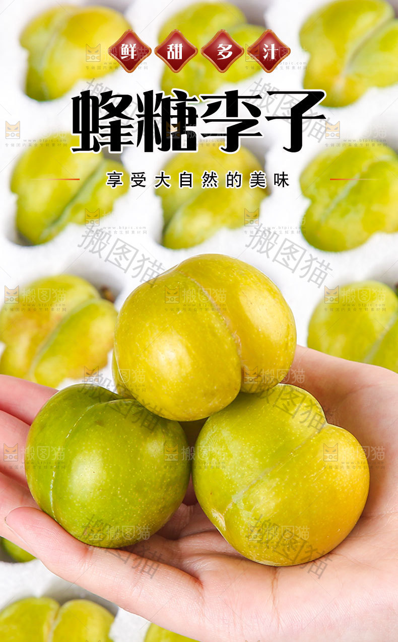 蜂糖李详情页