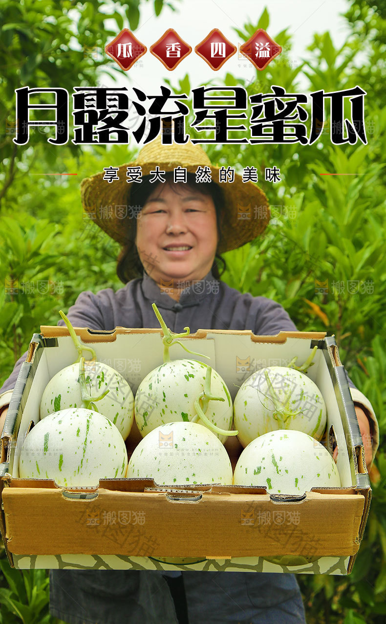 月露流星蜜瓜详情页