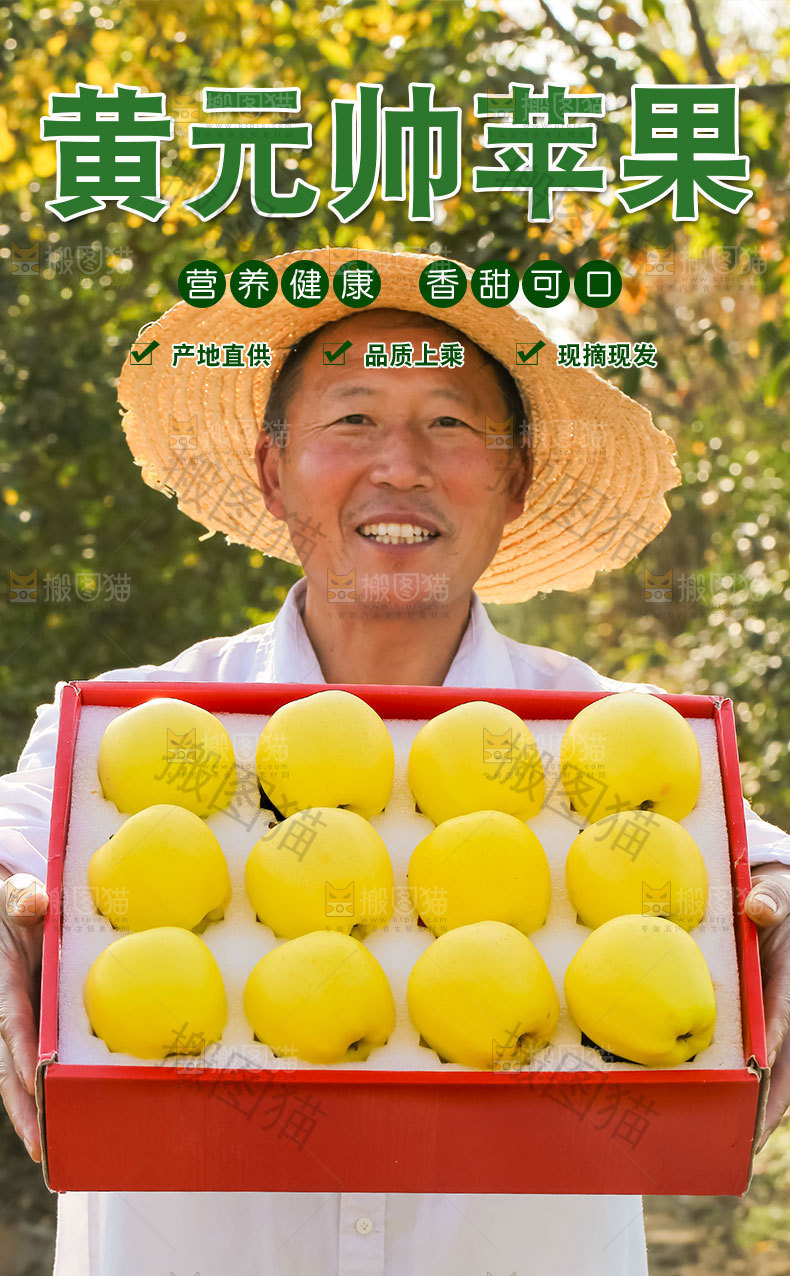黄元帅苹果详情页