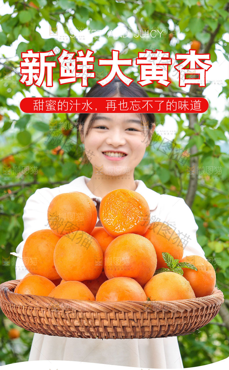 新鲜大黄杏详情页